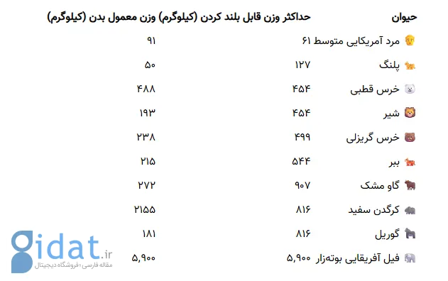 Screenshot 2025-10-26 012441